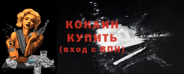 Альфа ПВП Аркадак