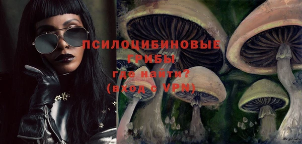 гашик Заволжск